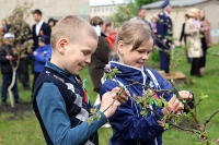 Фото: Сирень в память о победителях