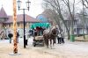 Фото: В поисках новых впечатлений