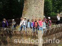 Фото: Пытались  разгадать  тайны  древнего леса