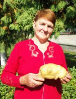 Фото: Великан  из картофельного царства