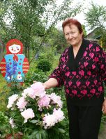 Фото: Многоцветье красок, или Пионовый рай