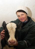 Фото: Семейный подряд  работает на результат