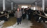Фото: Что у коровы в кормушке?