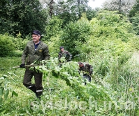 Фото: Новый облик старого парка