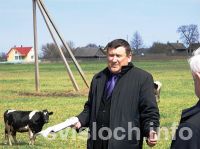 Фото: За молоком –  на пастбище