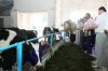 Фото: Давайте учиться на своих примерах и ошибках
