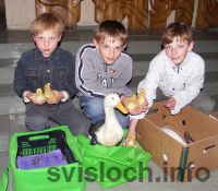 Фото: Дожджык дзетак не мачыў, ён на свята запрасіў