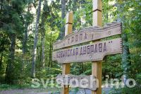 Фото: Зеленым маршрутом