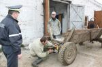 Фото: На "светящейся" повозке