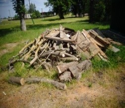 Фото: За порядок отвечаем вместе