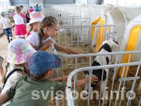 Фото: Каждый день в «Ромашке» – это новые открытия