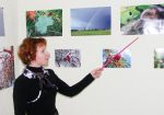 Фото: В поисках прекрасного