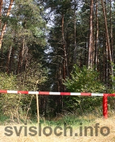 Фото: Отдых в лесу  отменяется.  Временно