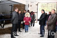Фото: Молочная арифметика  заставляет задуматься