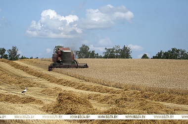 Фото: Minister: Over 7,000 domestic harvesters used in Belarus