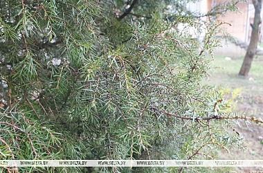 Фото: До +25°С в выходные и похолодание со среды. Синоптики о погоде на 29 марта - 3 апреля