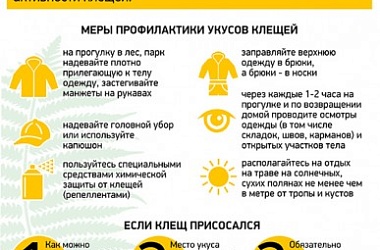 Фото: Сезон активности клещей