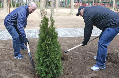 Фото: На Гродненщине в республиканском субботнике принимают участие более 300 тысяч человек