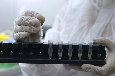 Фото: Иммунитет белорусов и мутации SARS-CoV-2 - что известно специалистам и ученым