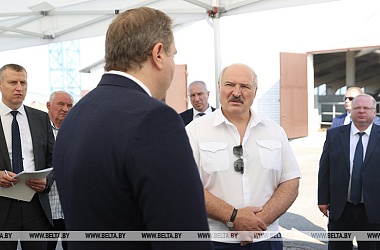 Фото: Лукашенко поручил запретить вывоз семян рапса из страны