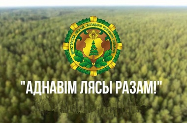 Фото: Акция "Дай лесу новае жыццё!" стартует в Беларуси 21 марта