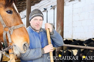 Фото: Все как  у рачительных хозяев