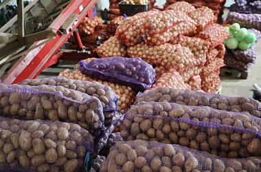 Фото: Обеспечение потребительского рынка плодоовощной продукцией