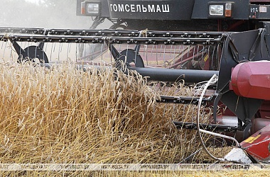 Фото: 8.5m tonnes of grain harvested in Belarus