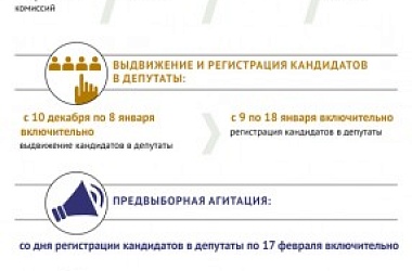 Фото: Инфографика: Выборы в местные Советы депутатов
