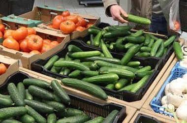 Фото: Огурцы и помидоры, молоко и цитрусовые. МАРТ рассказал, какие продукты подешевели в январе