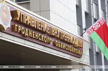 Фото: Под Гродно мужчину привязали к дереву за отказ съехать с дачи