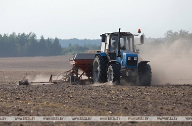 Фото: Winter sowing in Belarus 63% complete