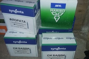 Фото: Семена на 1 миллиард рублей похитили в Берестовицком районе