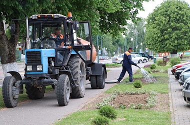 Фото: В Свислочи обновляют цветники