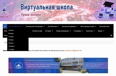 Фото: Уроки онлайн. Областной институт развития образования создал виртуальную школу