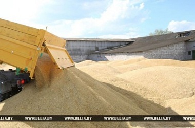 Фото: Генпрокуратура возбудила уголовное дело по факту уничтожения зерна в Свислочском районе