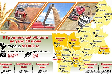Фото: Уборка урожая на Гродненщине. Новые цифры за 30 июля (инфографика)