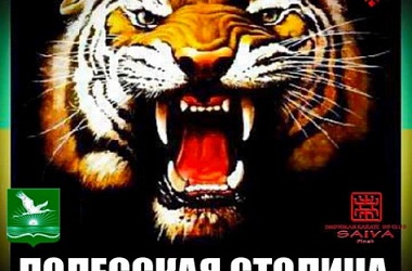 Фото: Каратэ на Полесье