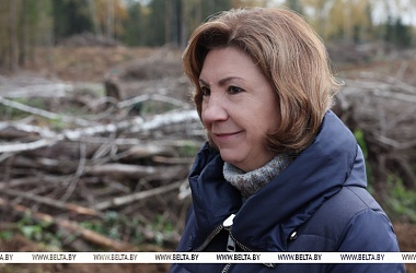 Фото: Наталья Кочанова: лесовосстановление - инвестиция в здоровье граждан и экономику страны