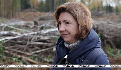 Фото: Наталья Кочанова: лесовосстановление - инвестиция в здоровье граждан и экономику страны