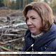 Фото: Наталья Кочанова: лесовосстановление - инвестиция в здоровье граждан и экономику страны