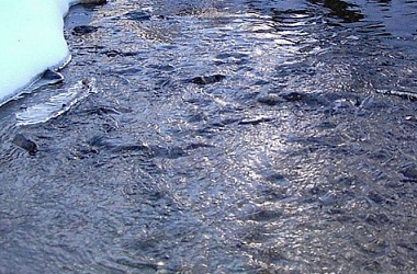 Фото: На случай  большой воды