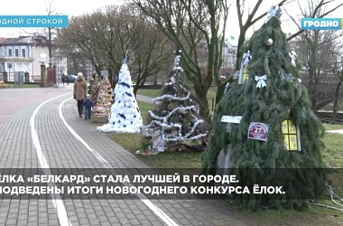Фото: В Гродно выбрали лучшую елку города. Посмотрите, кто стал победителем