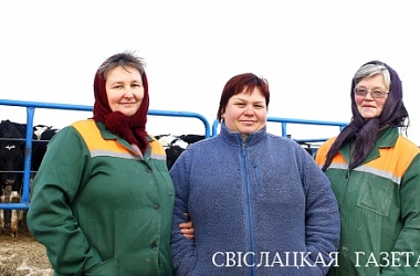 Фото: Мы – команда. Настоящая. Дружная