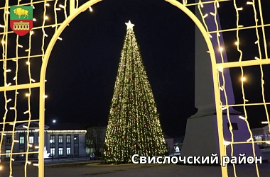 Фото: «Гродзенская праўда» объявляет старт конкурса «Чья елочка краше?»