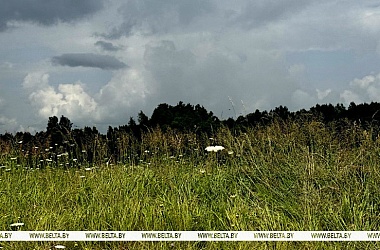 Фото: Непогода не сдается. Грозы и ливни ожидаются в Беларуси 20 июля