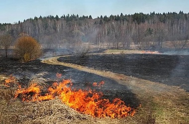 Фото: Выжег траву – заплати штраф
