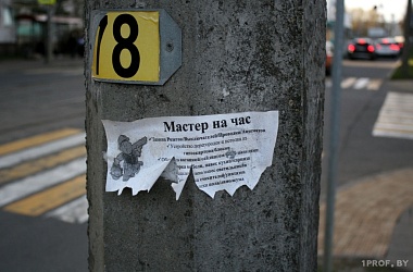 Фото: Какое наказание грозит за расклейку объявлений на столбах