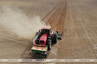 Фото: Spring sowing in Belarus almost half over
