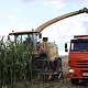 Фото: На Свислоччине дан старт уборке кукурузы 